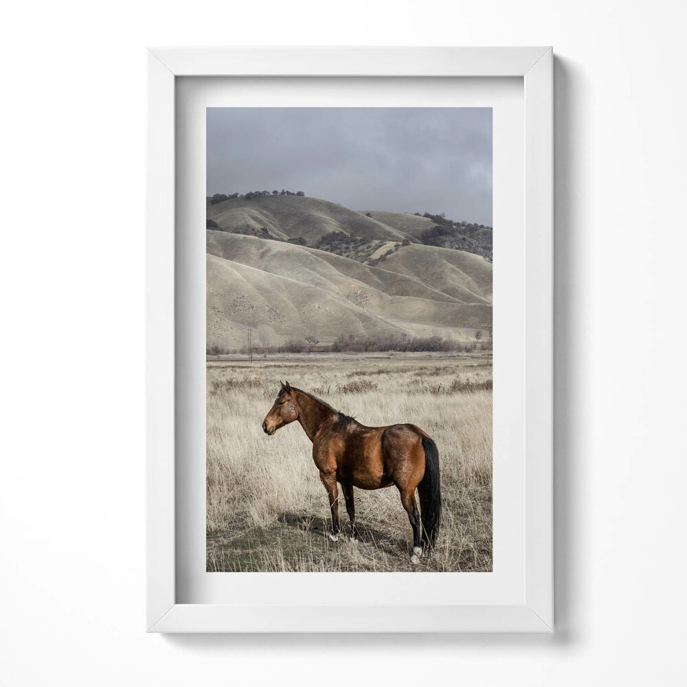 Keretezett kép Ló a dombos tájban