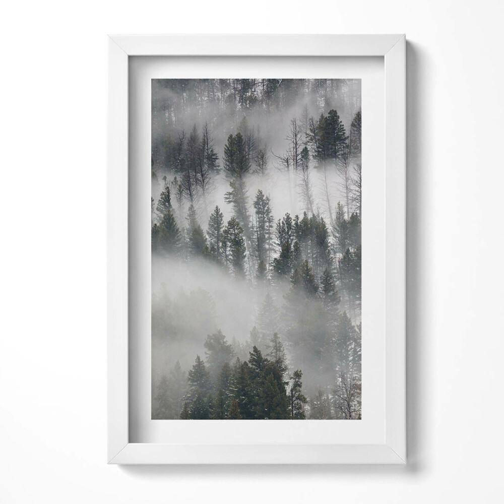Keretezett kép Ködös erdő táj
