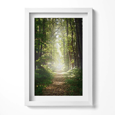 Keretezett kép Zöld erdei ösvény napfényben