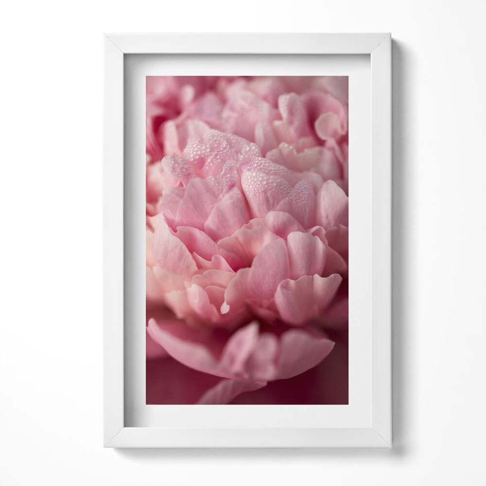 Keretezett kép Rózsaszín virágok lágy részletek