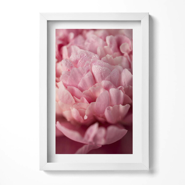 Keretezett kép Rózsaszín virágok lágy részletek