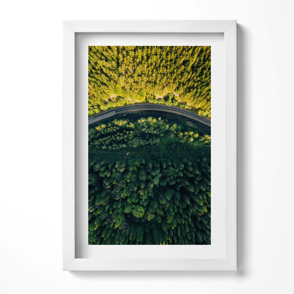 Keretezett kép Zöld erdő és kanyargós út