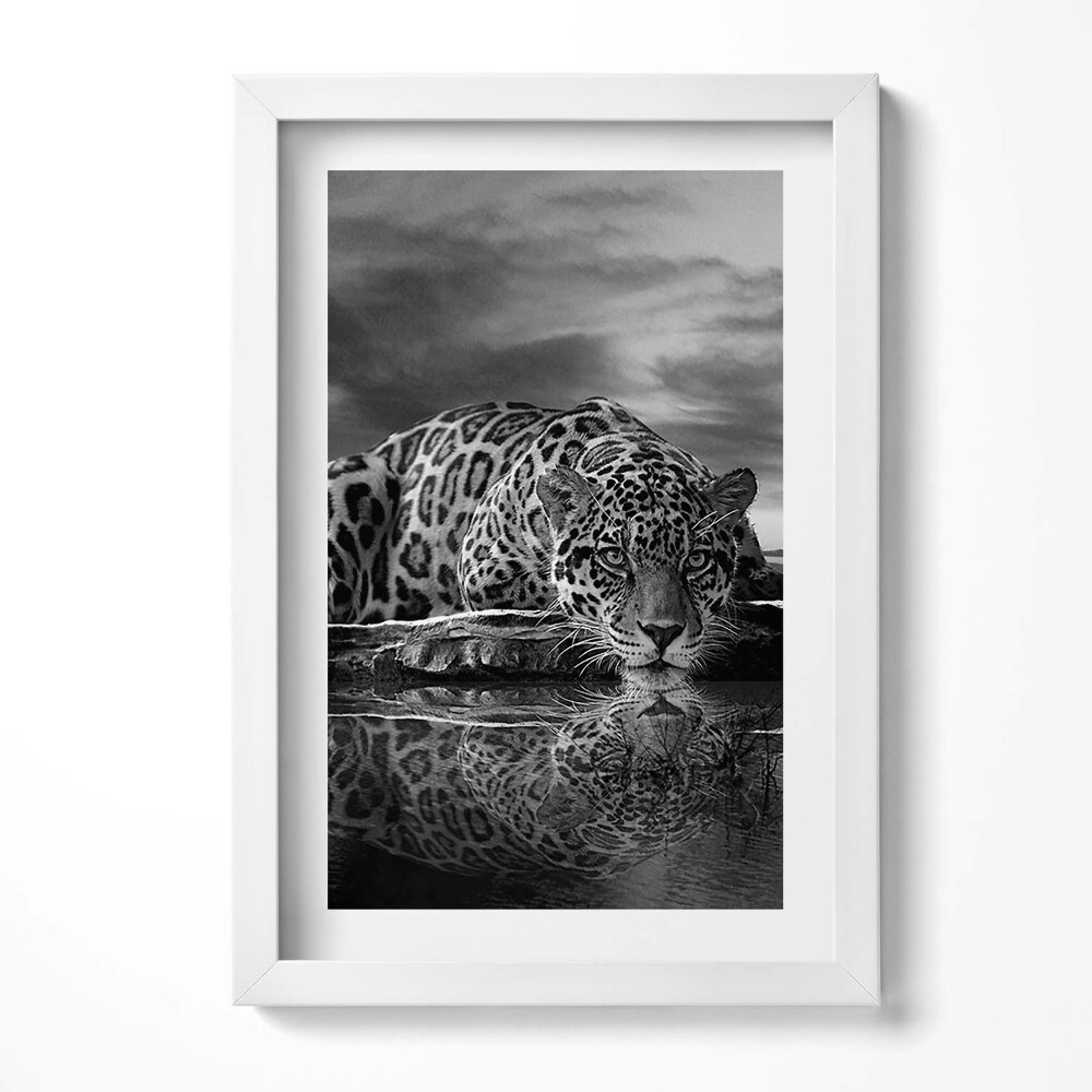 Keretezett kép Fekete-fehér leopárd tükörképe