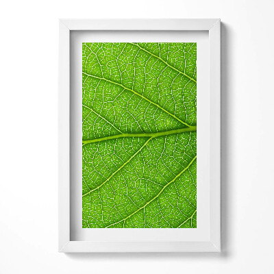 Keretezett kép Zöld levél textúrája