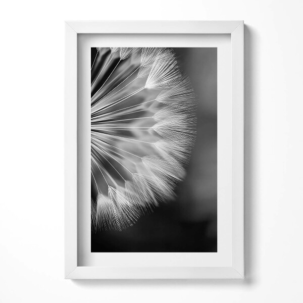 Keretezett kép Dandelion magok részlete