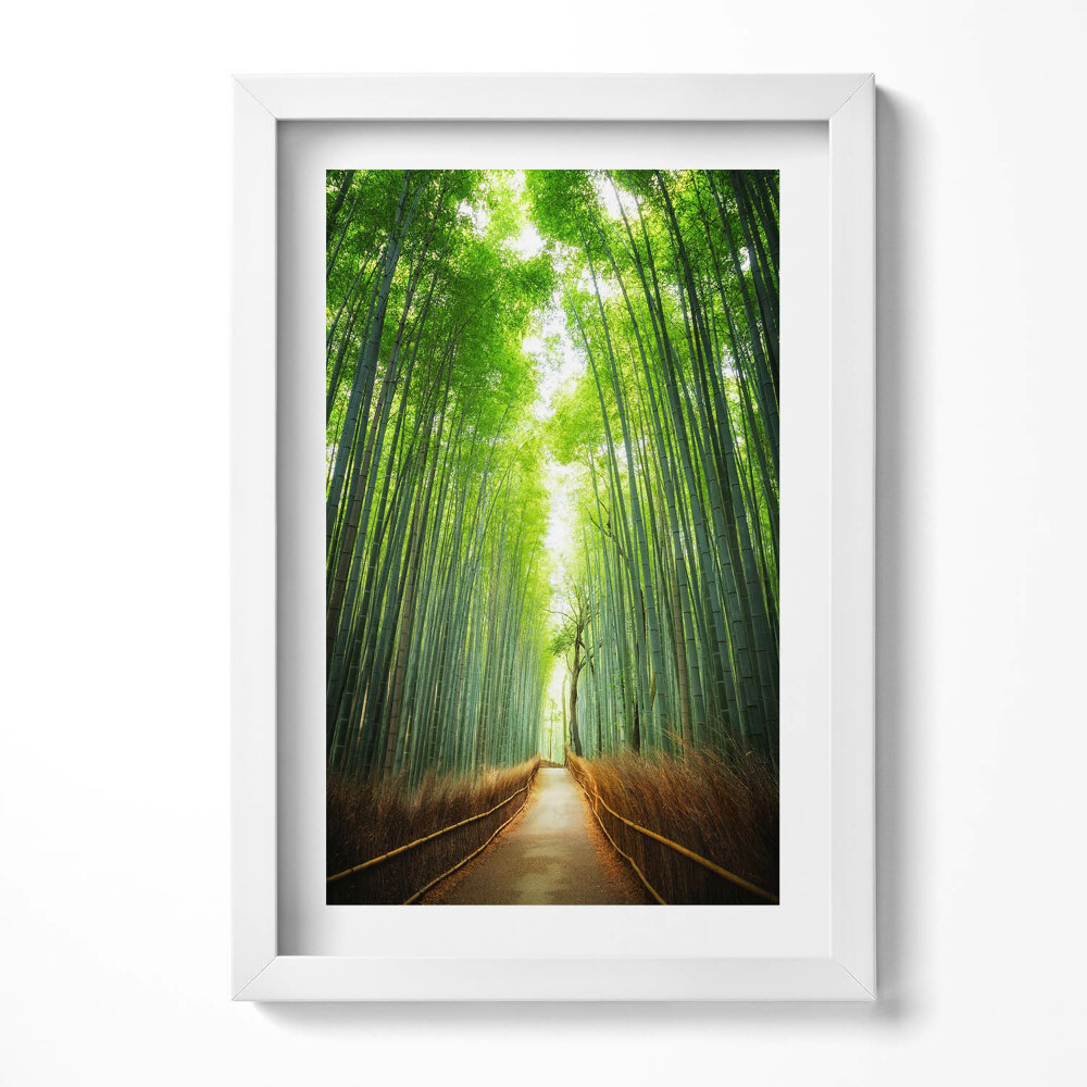 Keretezett kép Bambuszerdő napfényes ösvény