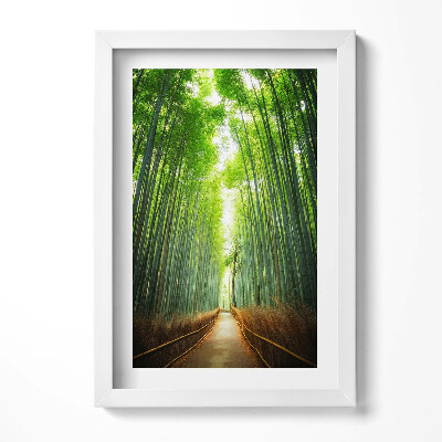 Keretezett kép Bambuszerdő napfényes ösvény