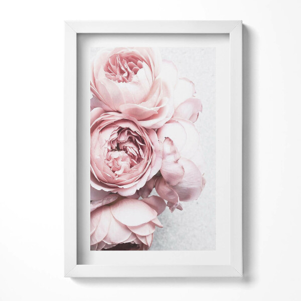 Keretezett kép Rózsaszín rózsák csoportja
