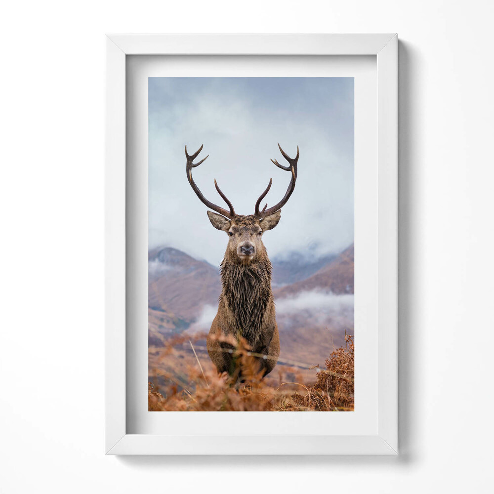 Keretezett kép Szarvas a hegyekben