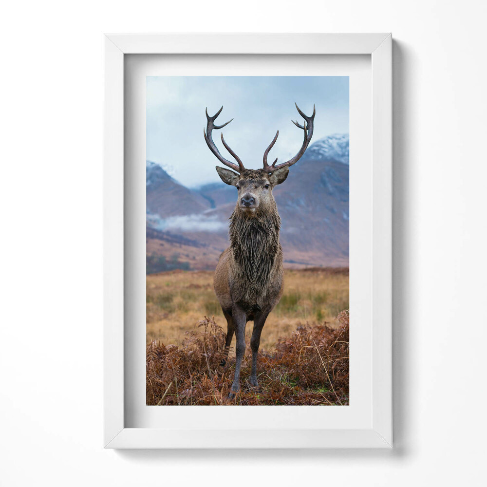Keretezett kép Szarvas a hegyekben