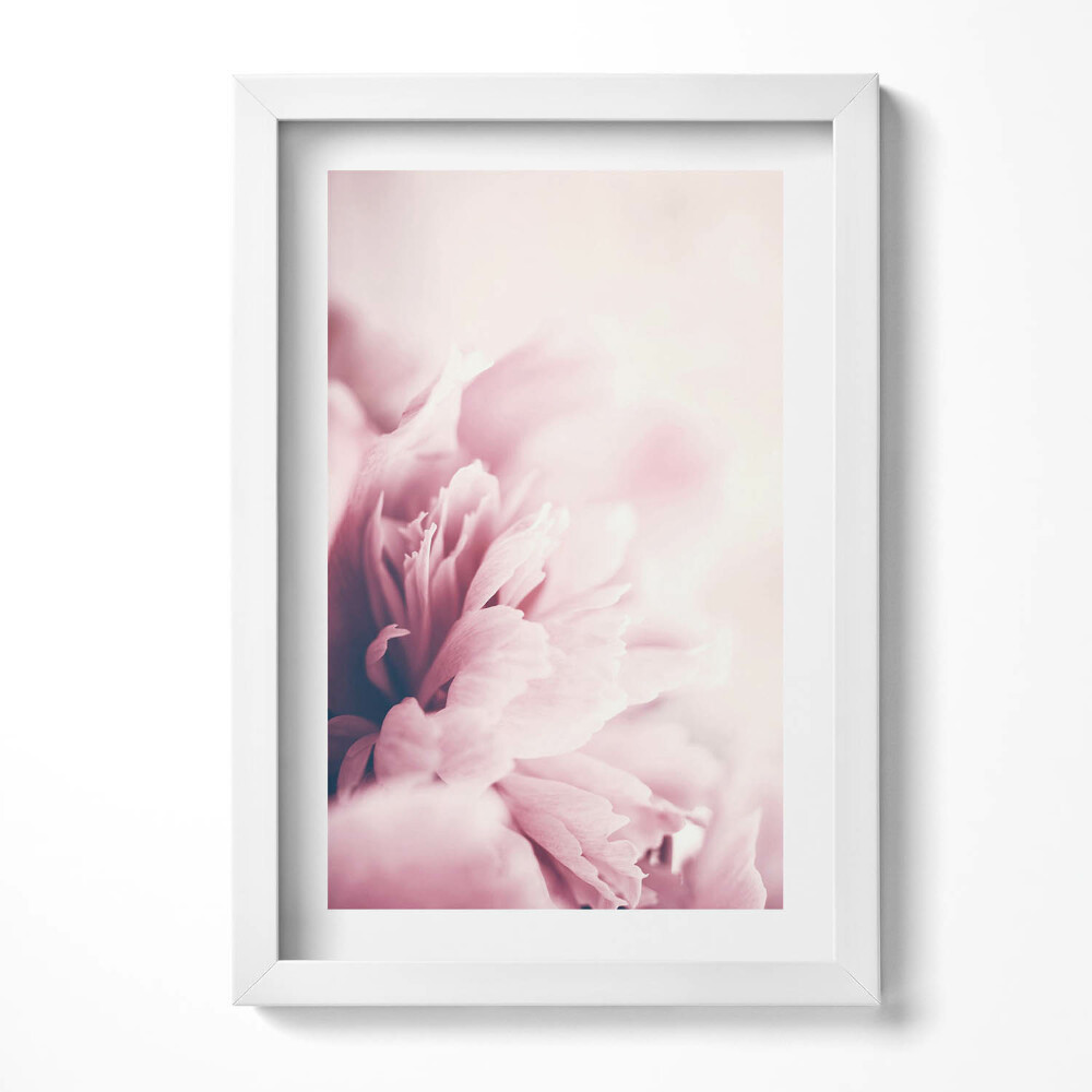 Keretezett kép Rózsaszín virágok lágyan elmosódva