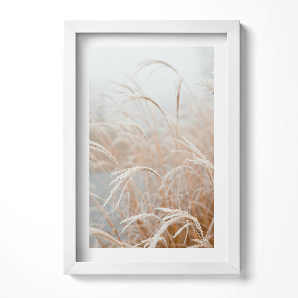 Keretezett kép Fagyott fű a ködben