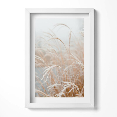 Keretezett kép Fagyott fű a ködben