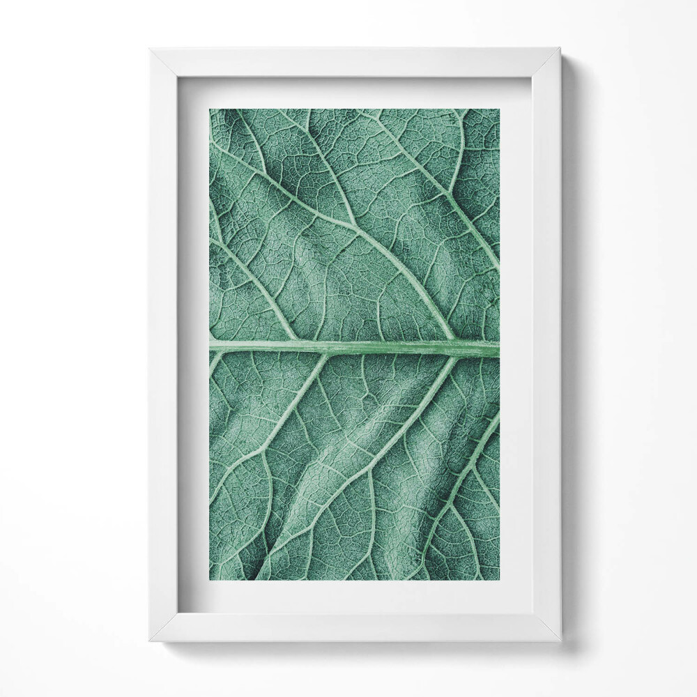Keretezett kép Zöld levél részlete
