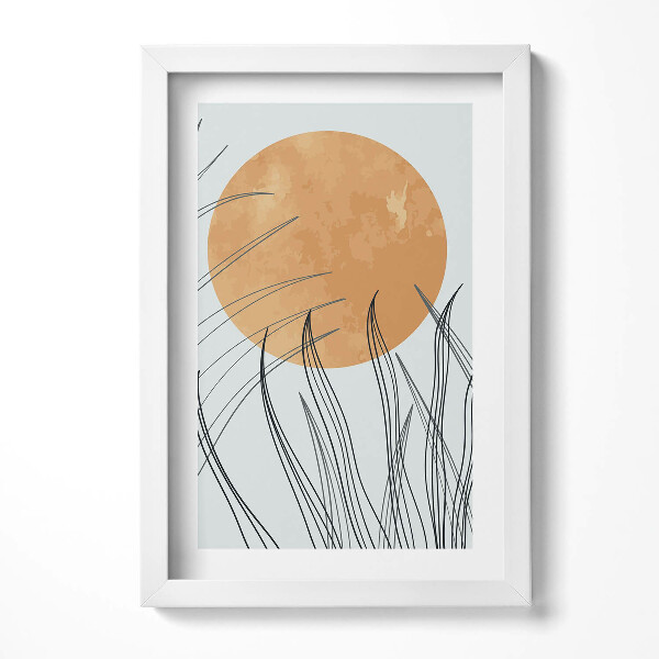 Keretezett kép Napsütés és növények sziluettje