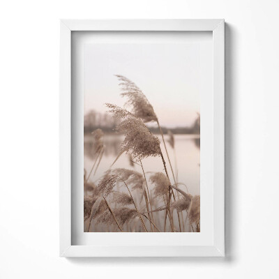 Keretezett kép Növények a vízparton