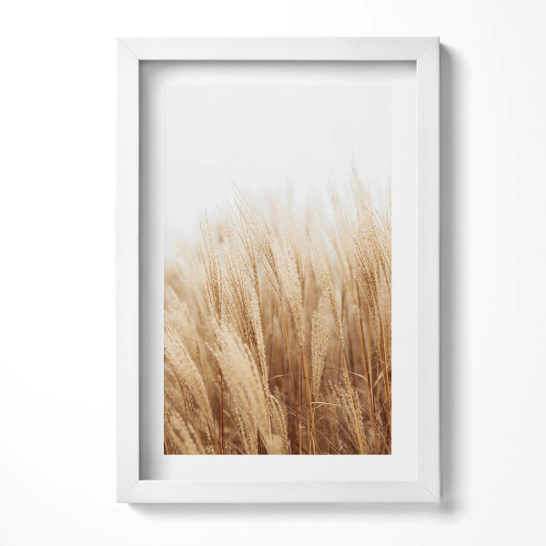 Keretezett kép Sárgás fűtípusú növények
