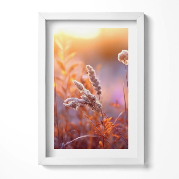Keretezett kép Puha fűszálak napfényben