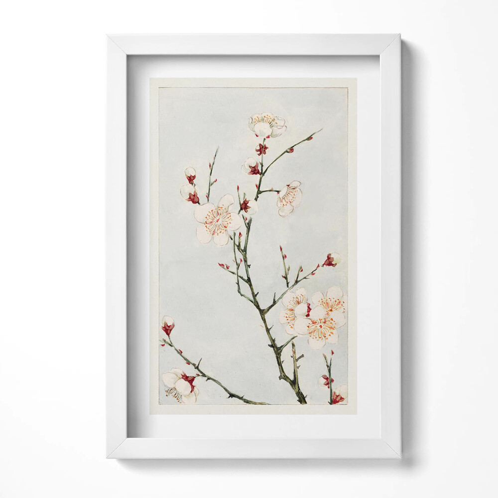 Keretezett kép Virágzó ágak fehér virágokkal