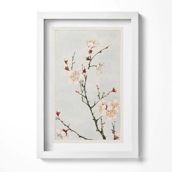 Keretezett kép Virágzó ágak fehér virágokkal