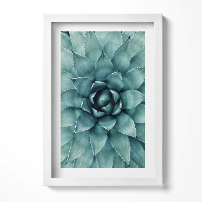 Keretezett kép Zöld színű pozsgás növény