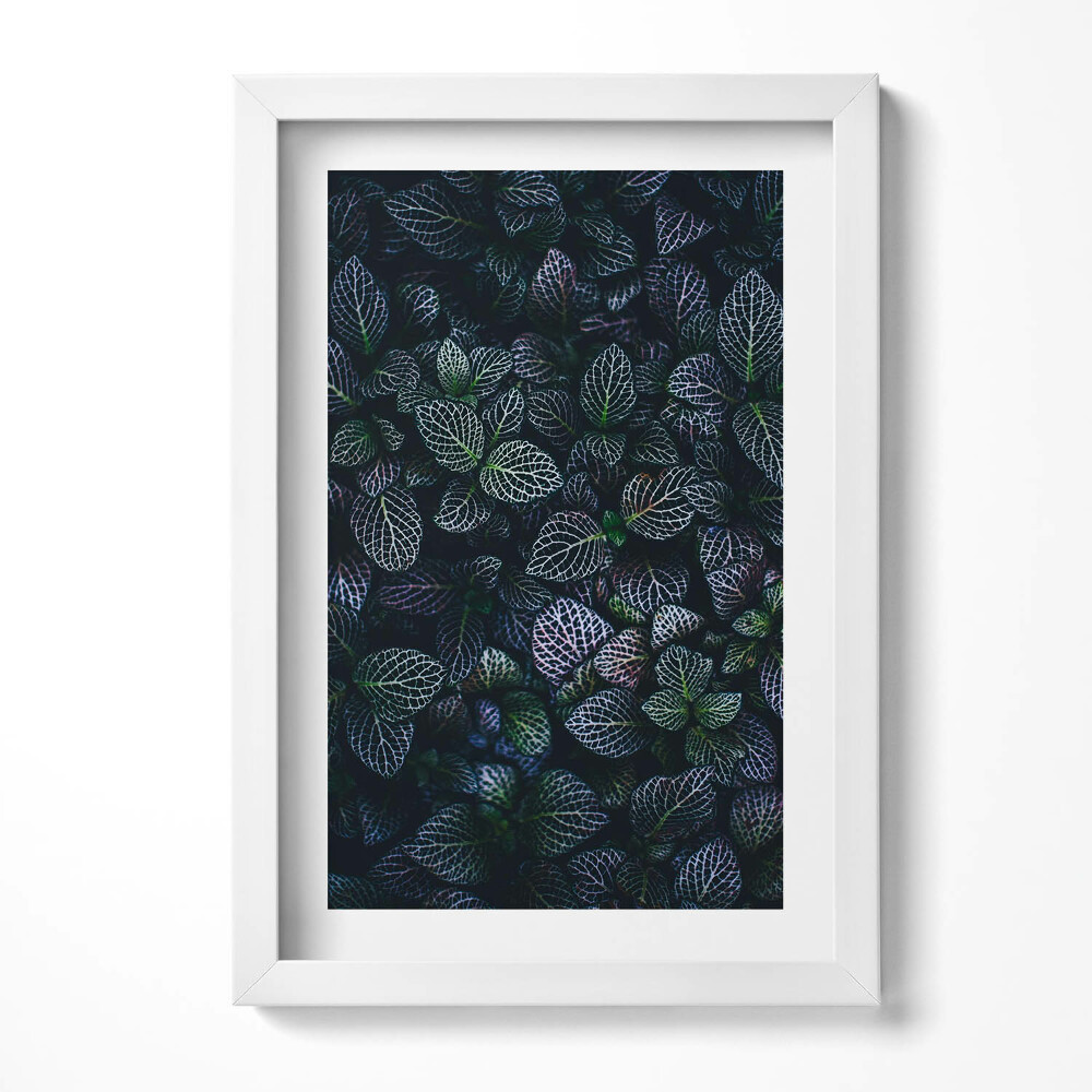 Keretezett kép Zöld levelek mintázata