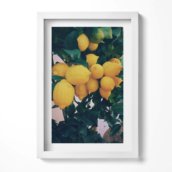 Keretezett kép Sárga citromok zöld leveleken