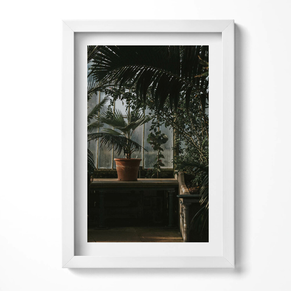 Keretezett kép Zöld növények virágcserép világos háttér