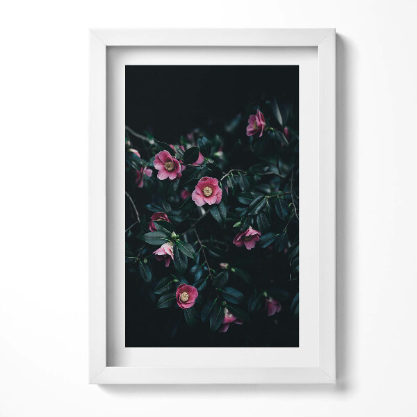 Keretezett kép Rózsaszín virágok sötét háttérben
