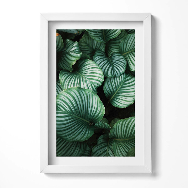 Keretezett kép Zöld levelek csíkos mintázat