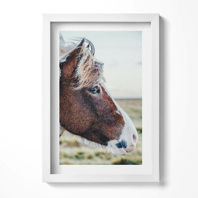 Keretezett kép Lófej profilja természetes háttérben
