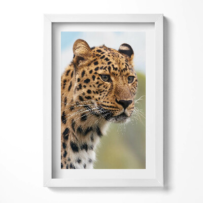 Keretezett kép Leopárd portréja