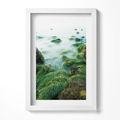 Keretezett kép Tengerparti zöld növényzet