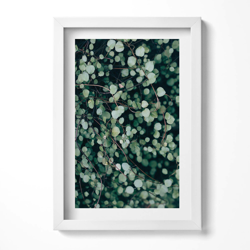 Keretezett kép Zöld levelek és hajtások