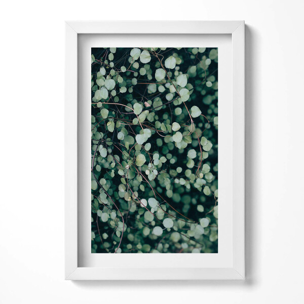 Keretezett kép Zöld levelek és hajtások