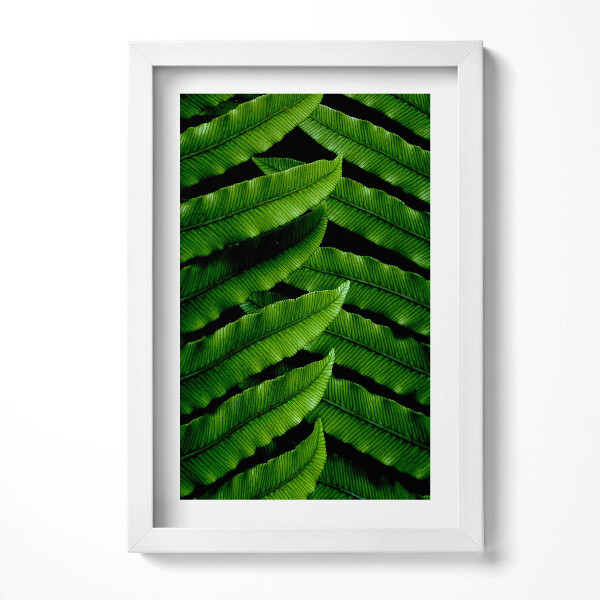 Keretezett kép Zöld levelek mintázata