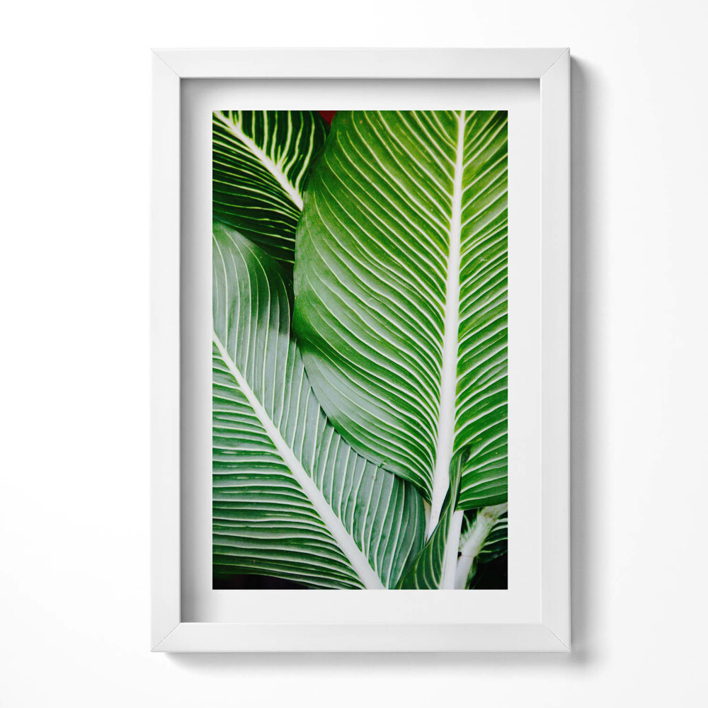 Keretezett kép Zöld levelek közelről