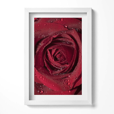 Keretezett kép Vörös rózsa cseppekkel