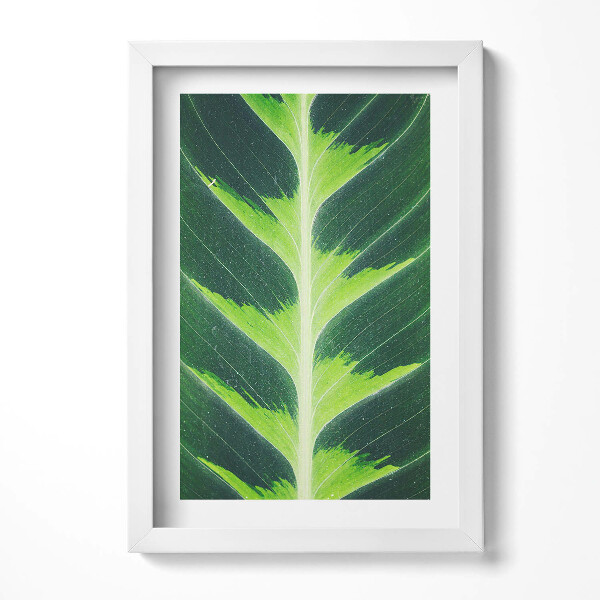 Keretezett kép Zöld levél természetes mintázat