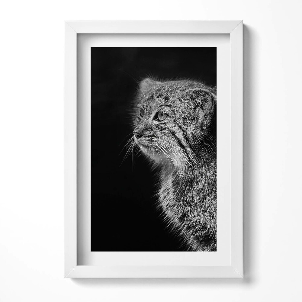 Keretezett kép Macskaféle állat portréja