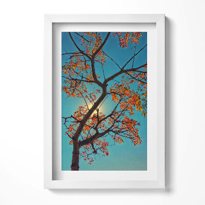 Keretezett kép Őszi falevelek és napfény