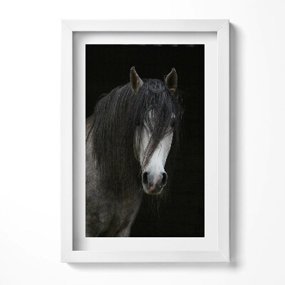 Keretezett kép Fekete hajú ló portréja