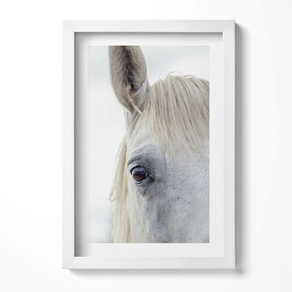 Keretezett kép Fehér ló szeme és fül