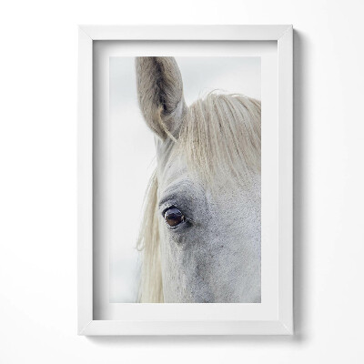 Keretezett kép Fehér ló szeme és fül