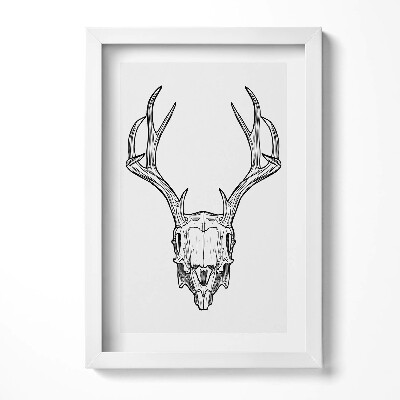 Keretezett kép Szarvas koponya antlers