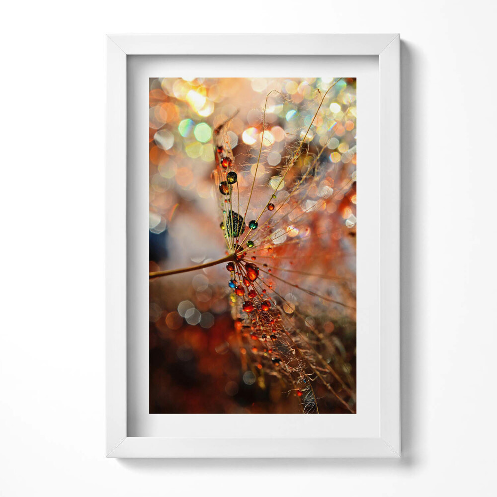 Keretezett kép Cseppes növényi részlet színes háttér