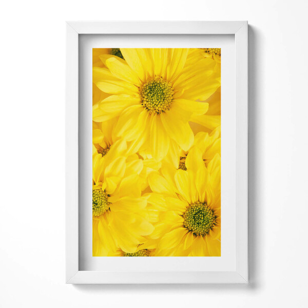 Keretezett kép Sárga virágok közelről