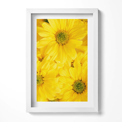 Keretezett kép Sárga virágok közelről