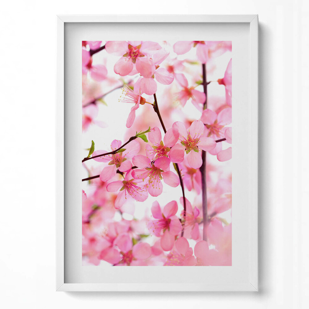 Függőleges kép keretben Rózsaszín virágok ága