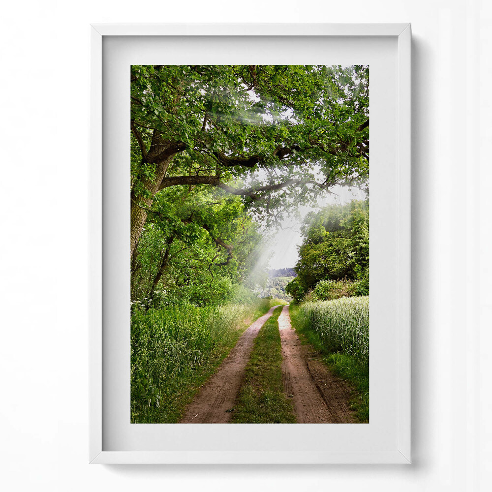 Függőleges kép keretben Zöld dombos táj keskeny ösvény